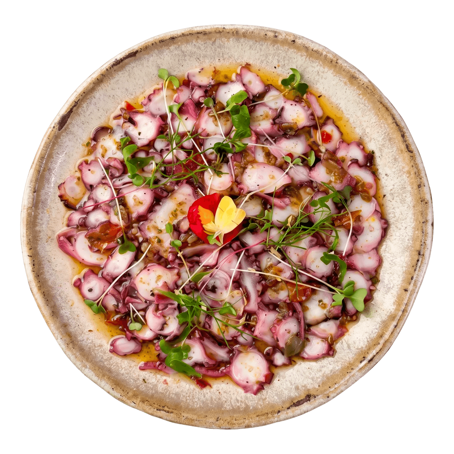 Carpaccio de polvo